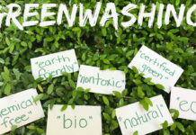 Zöldre mosás – környezetbarátnak álcázva