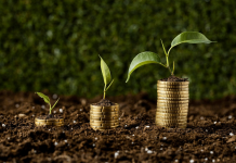 Keressük a zöld zöldhasúakat!