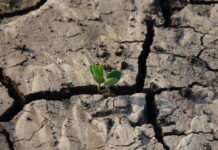 Klímaváltozás és vízgazdálkodás: Az agrárium jövője Magyarországon