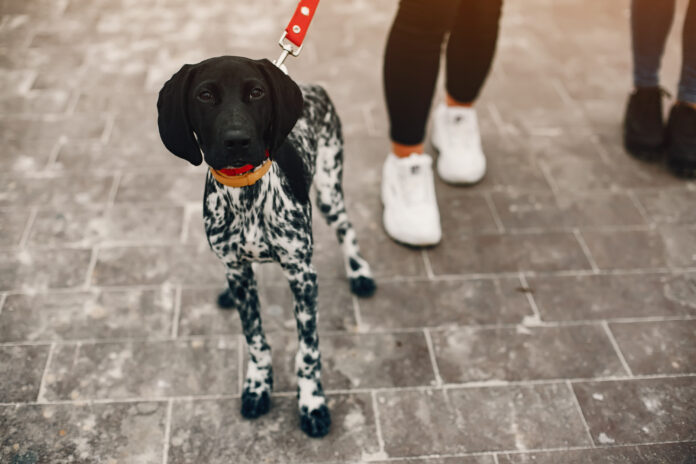 Two stylish girls have a rest in a city