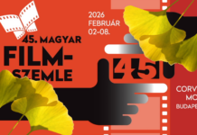 Ginkgo biloba és a Magyar Filmszemle