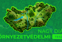 Itt a Nagy Diák Környezetvédelmi Teszt – töltsd ki te is