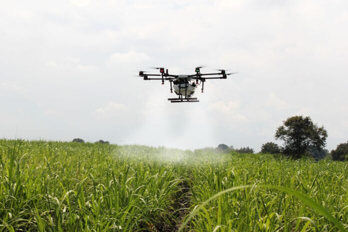 herney-spraying-sugar-cane-2746350_1920