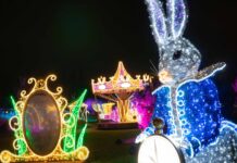 Alice Csodaországába varázsol el minket idén a Lumina Park