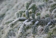 DUE-karácsony: gyere el az év utolsó DUE-s rendezvényére
